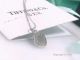 New Copy T I F F I NY Round Pendant Necklace S925 Silver (8)_th.jpg